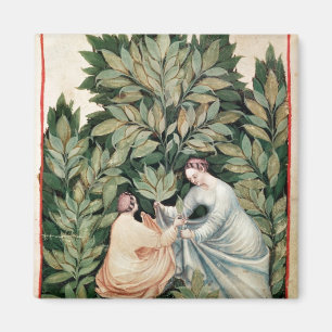 Two women picking sage, from 'Tacuinum Magnet