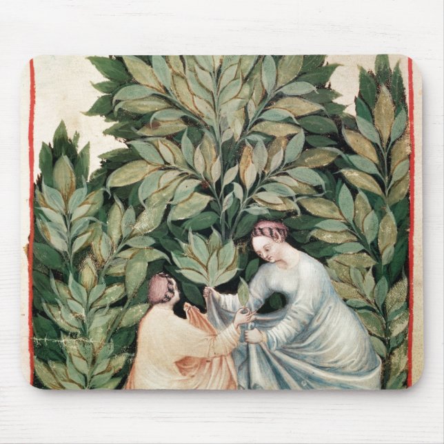 Two women picking sage, from 'Tacuinum Mouse Mat (Front)