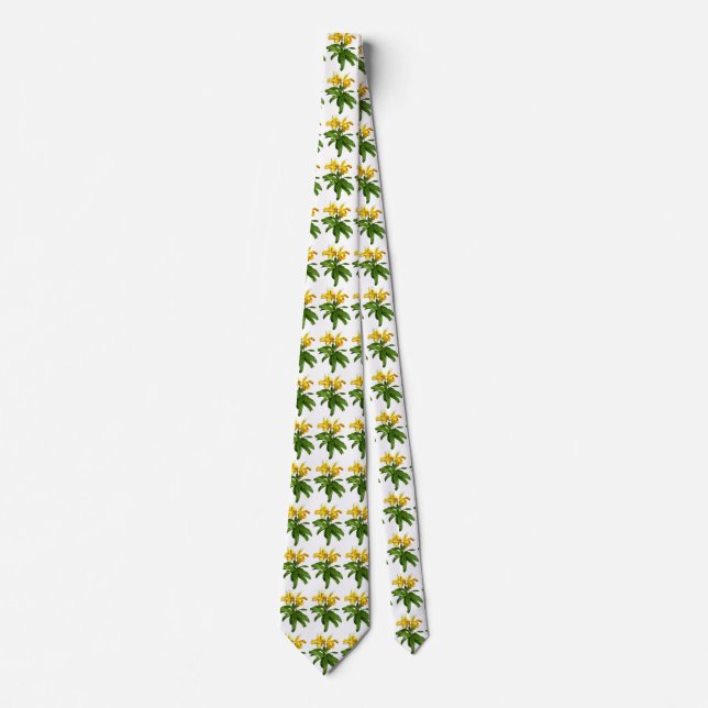 Two Yellow Lady Slipper Orchids Tie (Front)