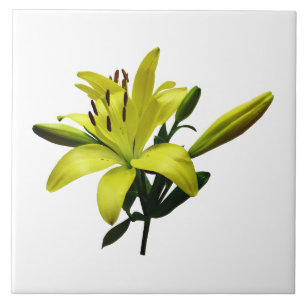 Two Yellow Lilies Tile