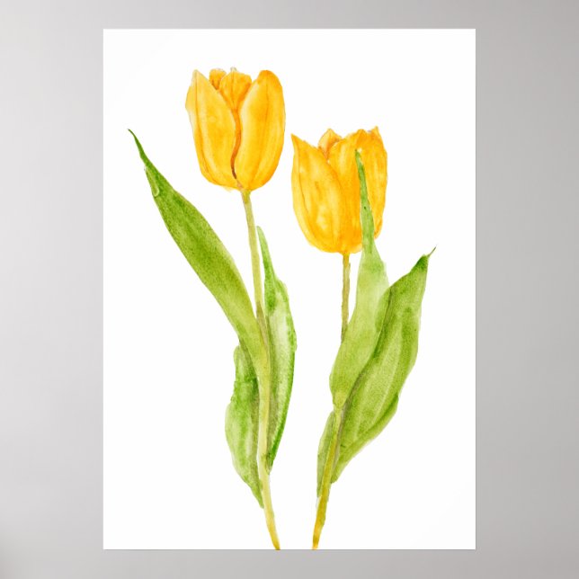 two yellow tulips watercolor  poster (Front)