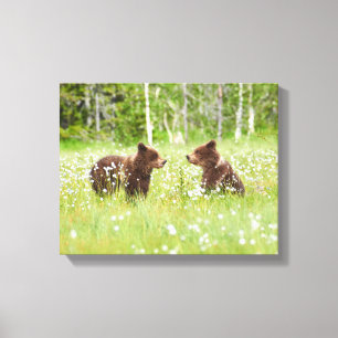 Two young brown bear friends  canvas print