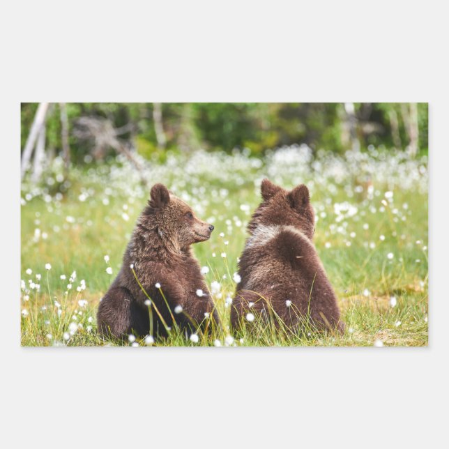 Two young brown bears sticker (Front)