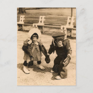 Two Young Chimps Holding Hands Postcard