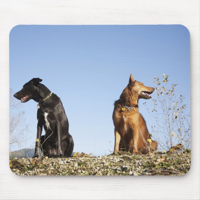 Two young dogs looking in opposite directions. mouse mat (Front)