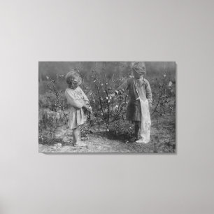 Two Young Girls Picking Cotton Photograph Canvas Print