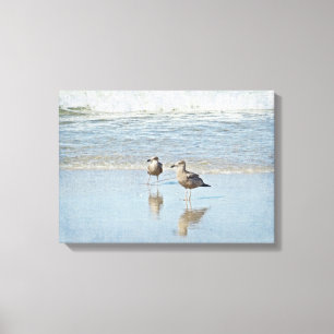 Two Young Seagulls Enjoying Sun and Surf Canvas Print
