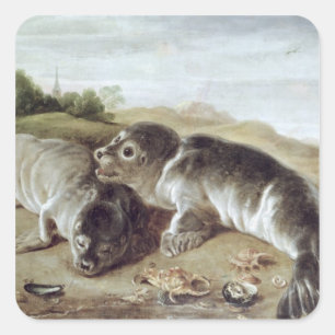 Two Young Seals on the Shore, c.1650