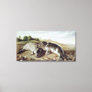 Two Young Seals on the Shore, c.1650 Canvas Print