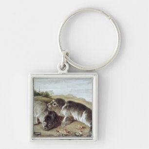 Two Young Seals on the Shore, c.1650 Key Ring