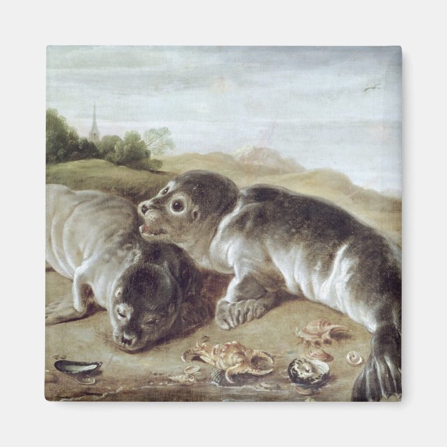 Two Young Seals on the Shore, c.1650 Magnet (Front)