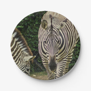 Two Zebras Paper Plate