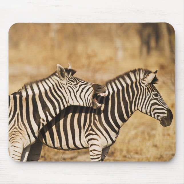Two zebras standing in grass mouse mat (Front)