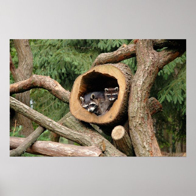 Two's Company Poster (Front)