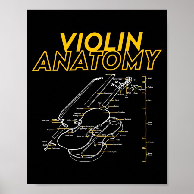 Twoset Violin Violin Anatomy Drawing Diagram Limit Poster (Front)