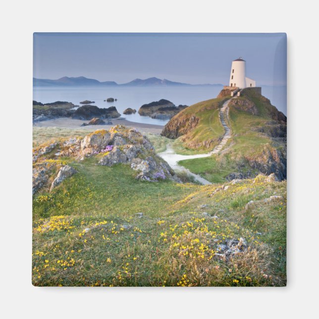 Twr Mawr Lighthouse On Llanddwyn Island Magnet (Front)