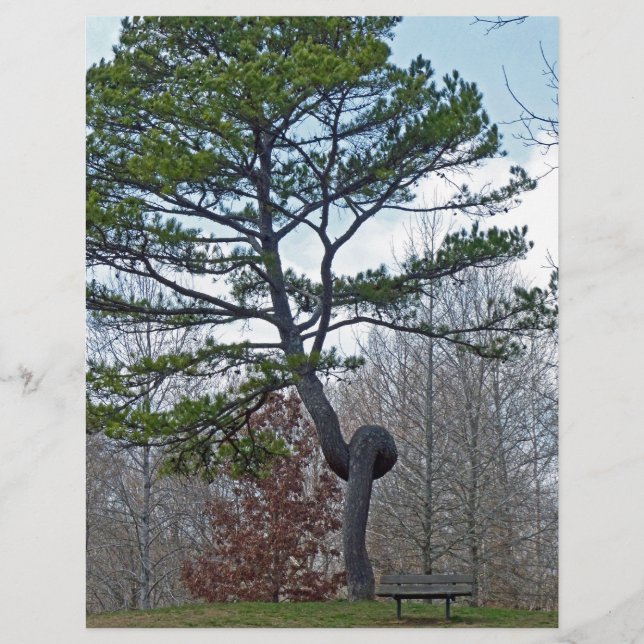 Twsited Tree (Front)