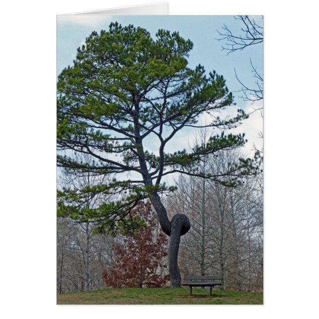 Twsited Tree (Front)