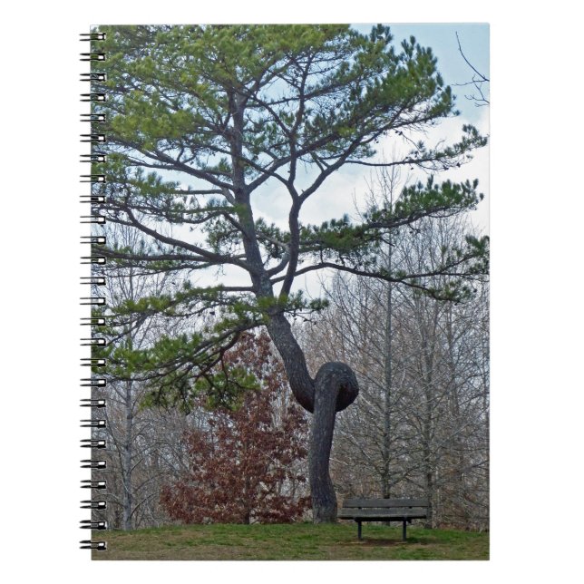 Twsited Tree Notebook (Front)