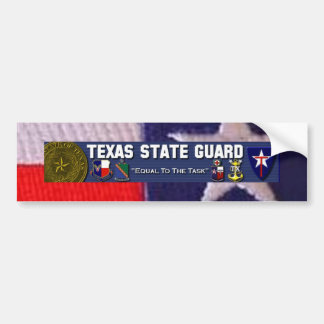 TX flag square, TXSG License plt full Bumper Sticker