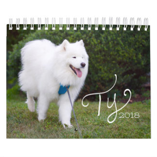 Ty 2018 calendar