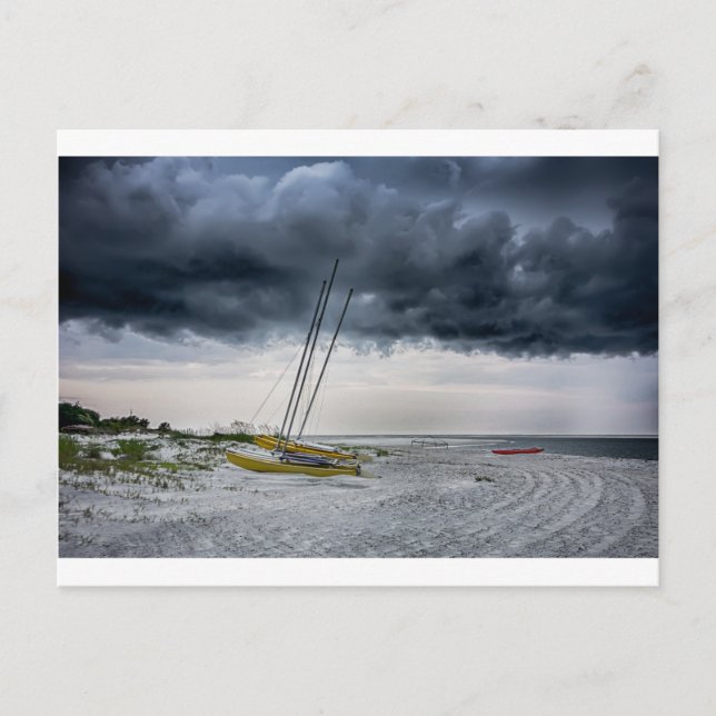 tybee island beach savannah georgia ocean eve postcard (Front)