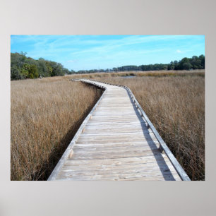 Tybee Island Georgia pathway poster photograph
