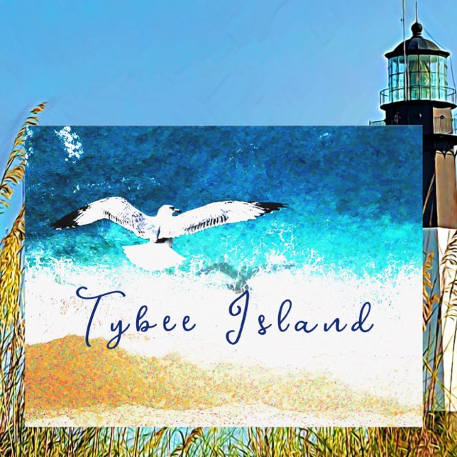 Tybee Island Georgia Seagull Soaring over Beach Postcard (Creator Uploaded)