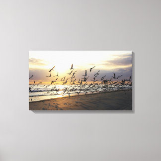 Tybee Island - Morning Flock Canvas Print
