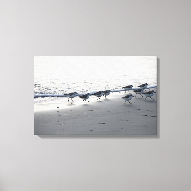 Tybee Island - Running of the Peeps 5 Canvas Print (Front)