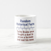 Tycho Brahe Once Fought A Duel - History Fact