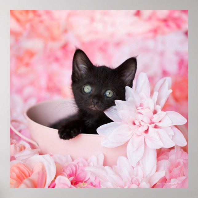 Tye Pink Floral Poster (Front)