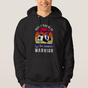 Type 1 Diabetes Warrior Blue Ribbon Panda T1d Diab Hoodie