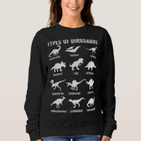 Type Of Dinosaurs Diplodocus Allosaurus Ankylosaur