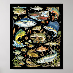 Types freshwater saltwater fish species fishing poster