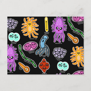 Types Of Bacteria Postcard