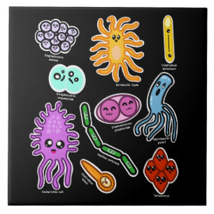 Types Of Bacteria Tile