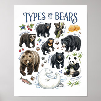 Types of Bears Watercolor Wildlife Animal Art Poster