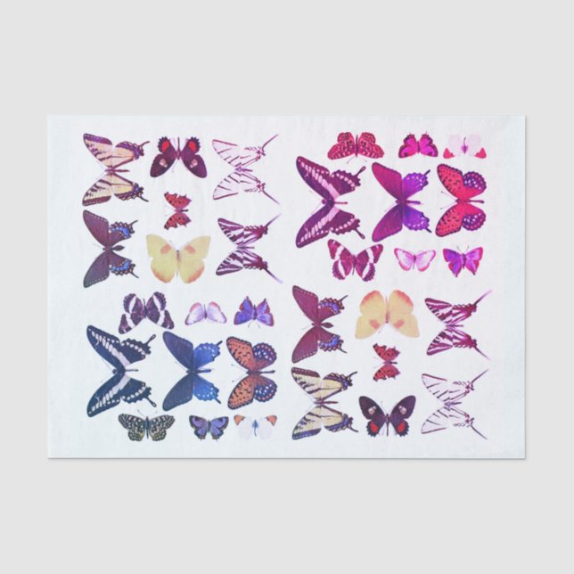 Types of Butterflies Collection Pink Blue Tissue Paper (Front)