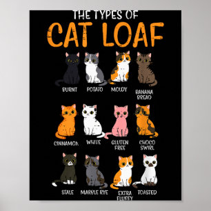 Types Of Cats Kawaii Kitten Cat Women Girls Kids M Poster