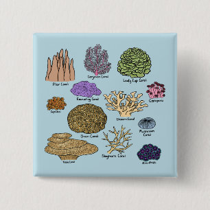 Types Of Coral 15 Cm Square Badge
