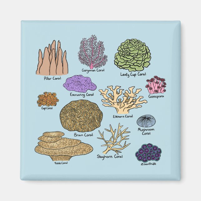 Types Of Coral Magnet (Front)