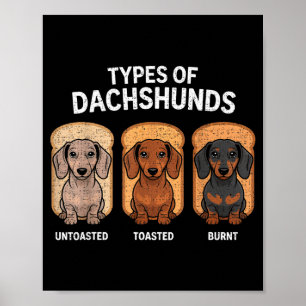 Types Of Dachshund Funny Wiener Sausage Dog Lover  Poster