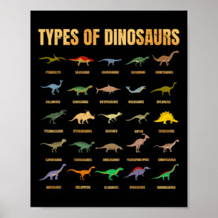 Types Of Dinosaurs - Dino Identification - Rex Din Poster