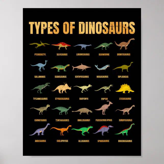 Types Of Dinosaurs - Dino Identification - Rex Din Poster | Zazzle