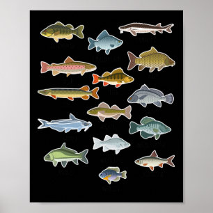 Types Of Freshwater Fish Fishing  Poster