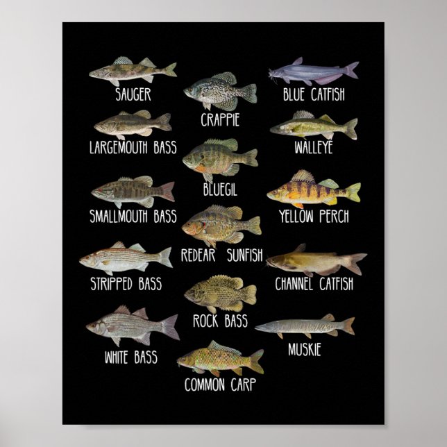 Types Of Freshwater Fish Species Biology Fishing  Poster (Front)