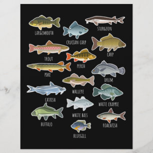 Types Of Freshwater Fish Species Fishing Custom Letterhead