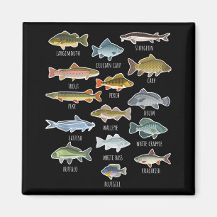 Types Of Freshwater Fish Species Fishing Magnet