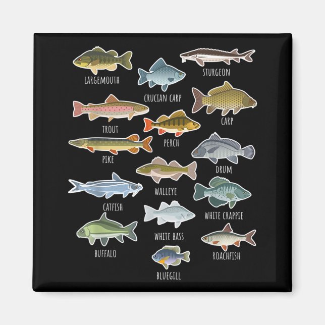 Types Of Freshwater Fish Species Fishing Magnet (Front)